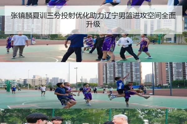 张镇麟夏训三分投射优化助力辽宁男篮进攻空间全面升级